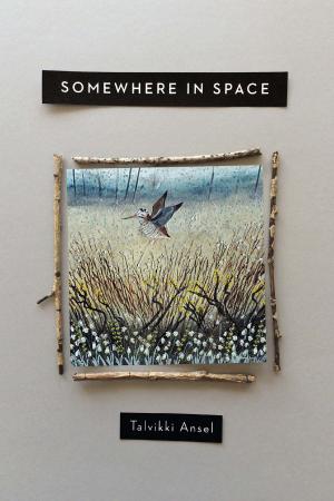Cover of the book Somewhere in Space by Robert E. Wood