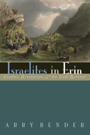 Cover of the book Israelites in Erin by Ahmed Fekry Ibrahim