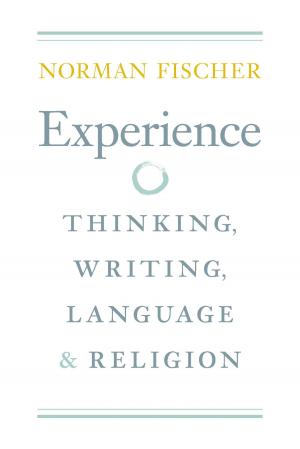 Cover of the book Experience by William March
