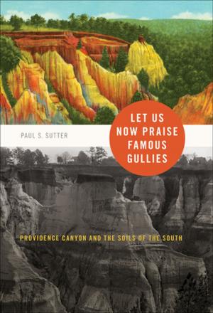 Cover of the book Let Us Now Praise Famous Gullies by Robert E. Burns