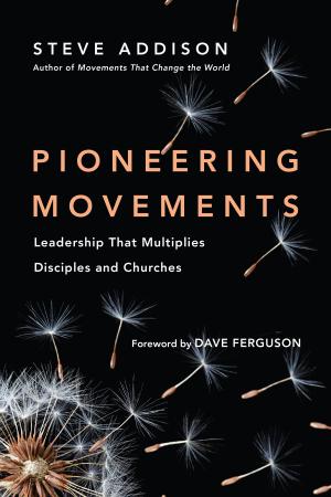 Cover of the book Pioneering Movements by Mark Scandrette, Lisa Scandrette