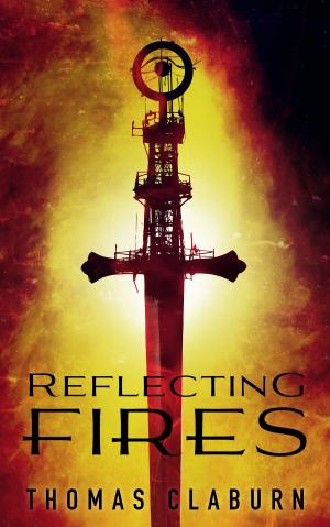 Cover of the book Reflecting Fires by Luke Herzog