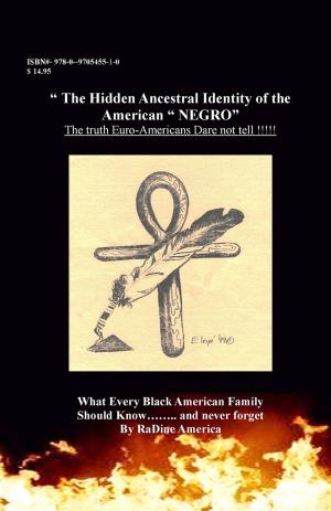 Cover of the book The Hidden Ancestral Identity of the American Negro by Sam Time (Osama Taiym)