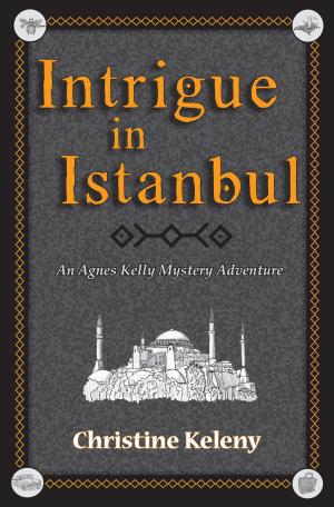 Book cover of Intrigue in Istanbul