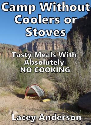 Cover of the book Camp Without Coolers or Stoves by Ali Muhammad