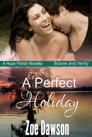 Cover of the book A Perfect Holiday by M. LEIGHTON