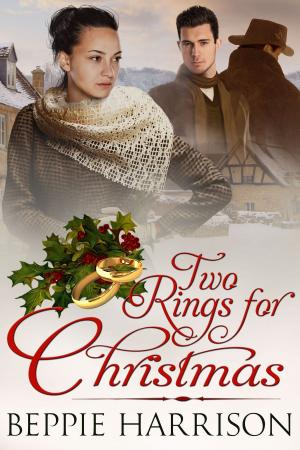 Cover of the book Two Rings for Christmas by Alex James, Michal Dutkiewicz, G. Albert Turner