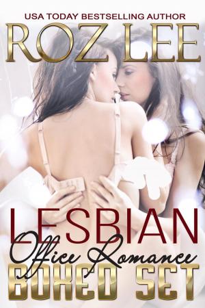 Cover of Lesbian Office Romance Series Boxed Set