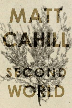 Book cover of Second World