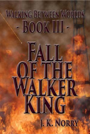 bigCover of the book Fall of the Walker King by 