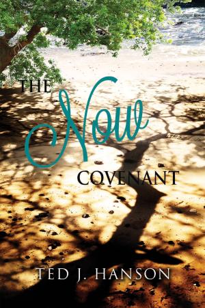 Cover of the book The Now Covenant by Troy Dvorak