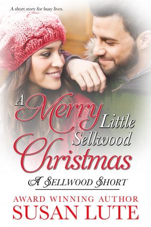 Book cover of A Merry Little Sellwood Christmas