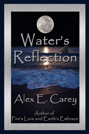 Cover of the book Water's Reflection by Joshua Renneke