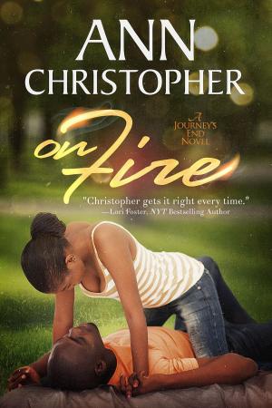 Cover of the book On Fire by Ann Christopher