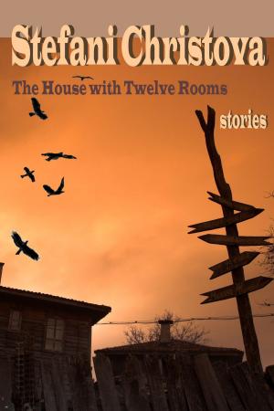 bigCover of the book The House with Twelve Rooms by 