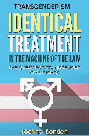 Cover of the book Identical Treatment in the Machine of the Law, The Quest for Transgender Civil Rights by Bart Luirink, Madeleine Maurick