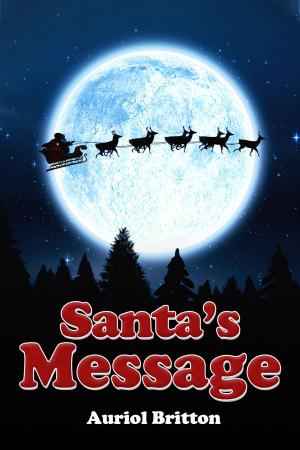 Cover of the book Santa's Message by Rachel Sparks Linfield