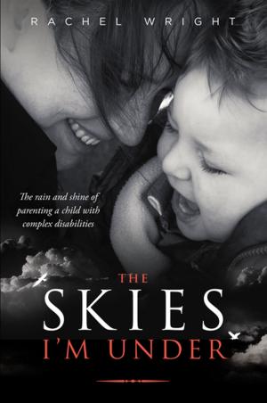 Book cover of The Skies I'm Under