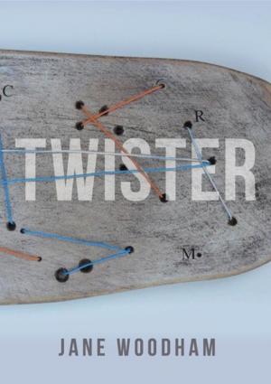 Cover of the book Twister by Erica Spindler