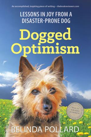 Cover of the book Dogged Optimism by Karen Jacobsen