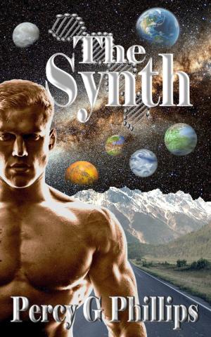 Cover of the book The Synth by Brian Moon