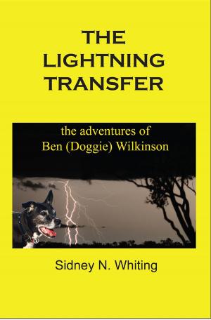 bigCover of the book The Lightning Transfer by 