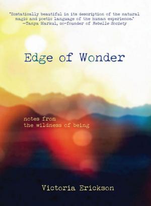 Cover of the book Edge of Wonder by 7 Minute Reads