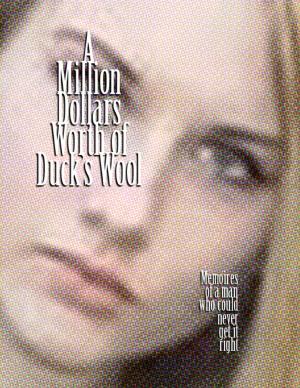 bigCover of the book A Million Dollars Worth of Duck's Wool by 