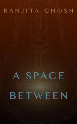 Cover of the book A Space Between by Susan Ann Wall