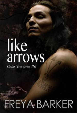 Cover of the book Like Arrows by Siegrid Hirsch, Wolf Ruzicka