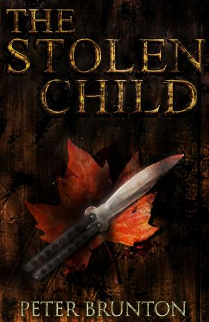 Cover of the book The Stolen Child by Sylvain St-Pierre