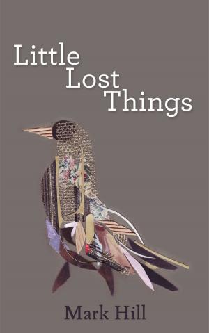 Cover of the book Little Lost Things by Beth Sadler