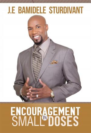 Cover of the book Encouragement in Small Doses by J.E Sturdivant