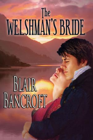 Cover of the book The Welshman's Bride by Woody Durham, Adam Lucas