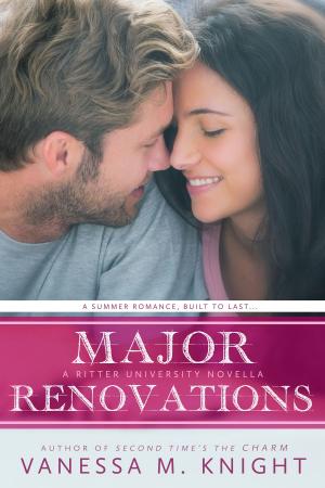 Book cover of Major Renovations