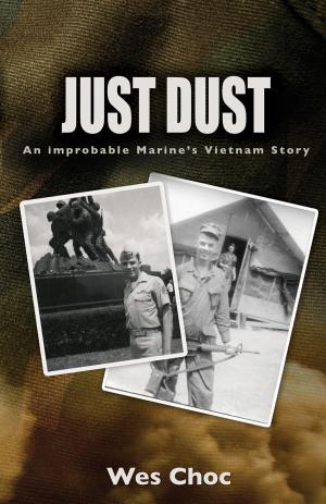 Cover of Just Dust