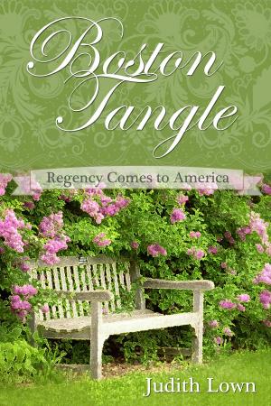 Cover of the book Boston Tangle by Kim Luke