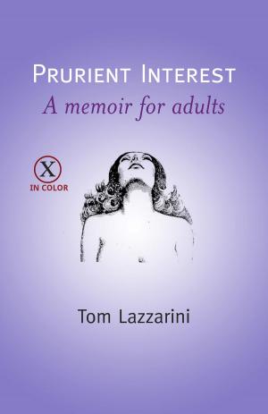 Cover of the book Prurient Interest by David E. Stanley