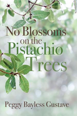 Book cover of No Blossoms on the Pistachio Trees
