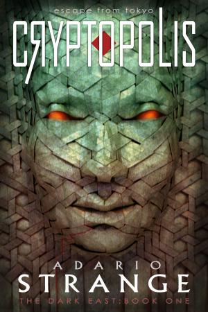 Cover of the book Cryptopolis by Heidi Claeyssen