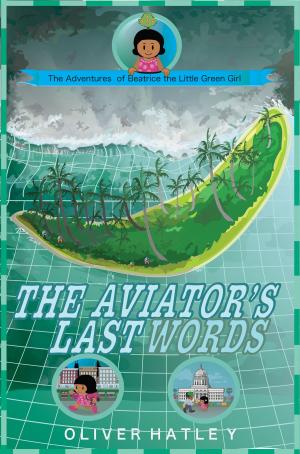 Book cover of The Aviator's Last Words