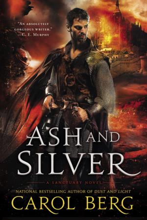 Cover of the book Ash and Silver by Jake Logan