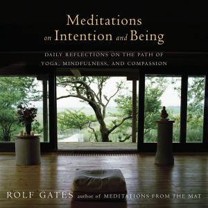 bigCover of the book Meditations on Intention and Being by 