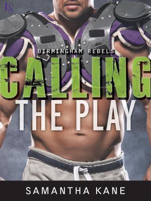 Cover of the book Calling the Play by Roger Cohen