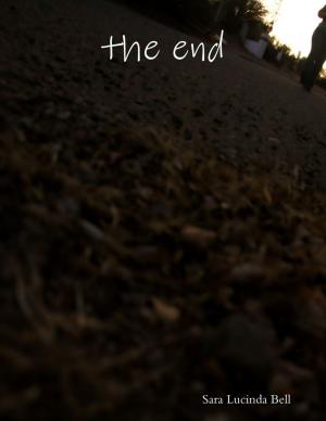 Cover of the book The End by Chris Hawkins