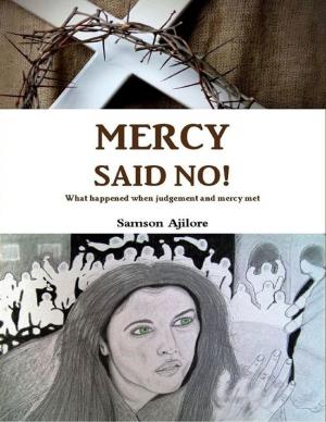Cover of the book Mercy Said No! by Justin Tully