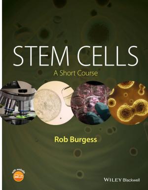 Cover of the book Stem Cells by Martin Sauter