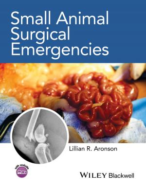 Cover of the book Small Animal Surgical Emergencies by Joe Vitale