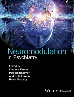 Cover of the book Neuromodulation in Psychiatry by Bernard S. Mayer