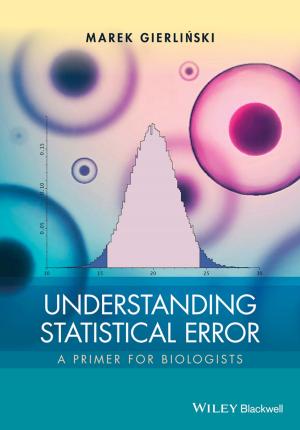 Cover of the book Understanding Statistical Error by Jae K. Lee
